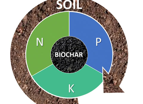 BIOCHAR IN ARGRICULTURE